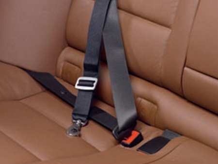 Allsafe Auto Sicherungsgurt für Hunde 1