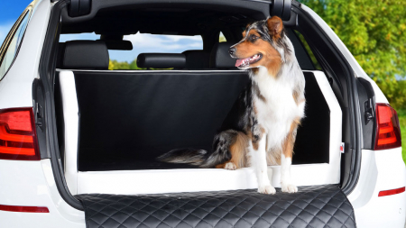 Hunde Autobett Travelmat Plus SUBARO