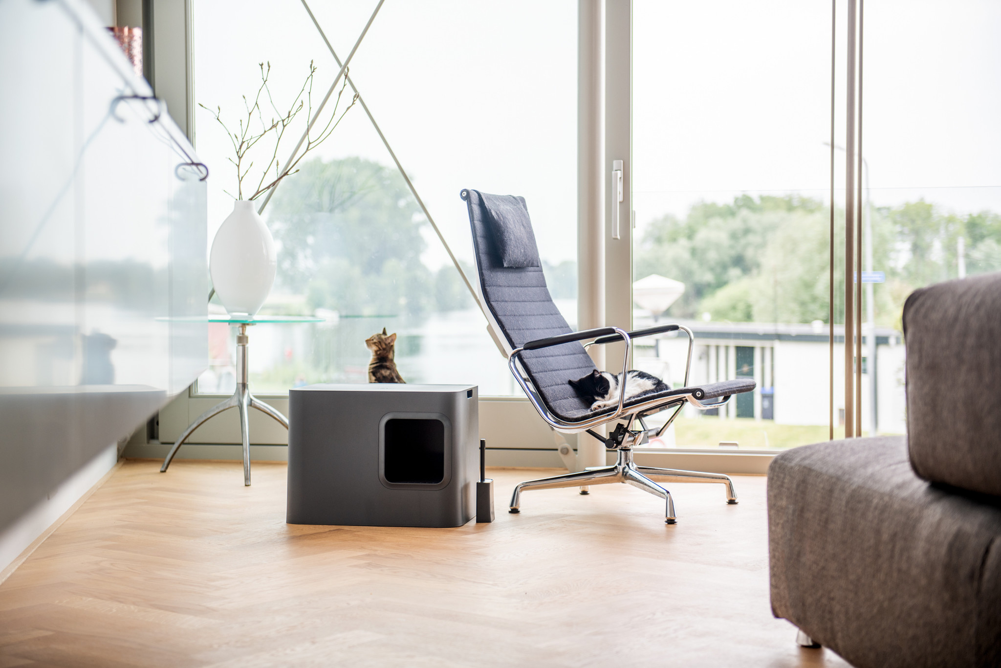 stylisches Katzenklo sauber modern